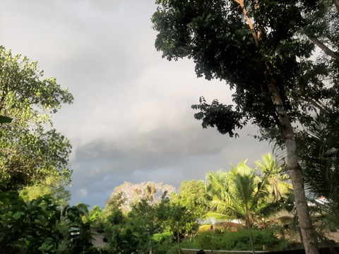 Village beauty