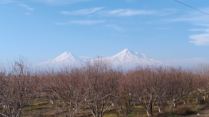 Ararat