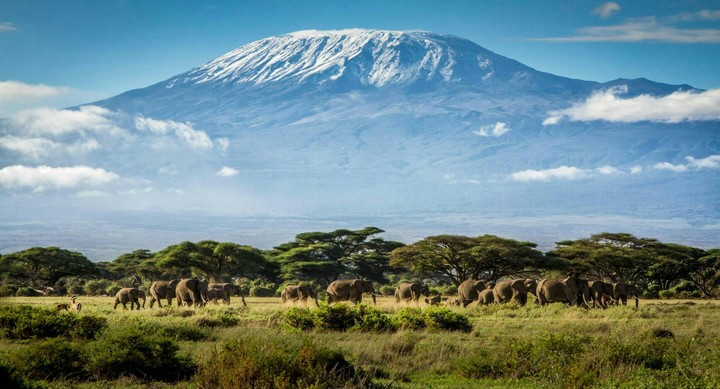 Kilimanjaro