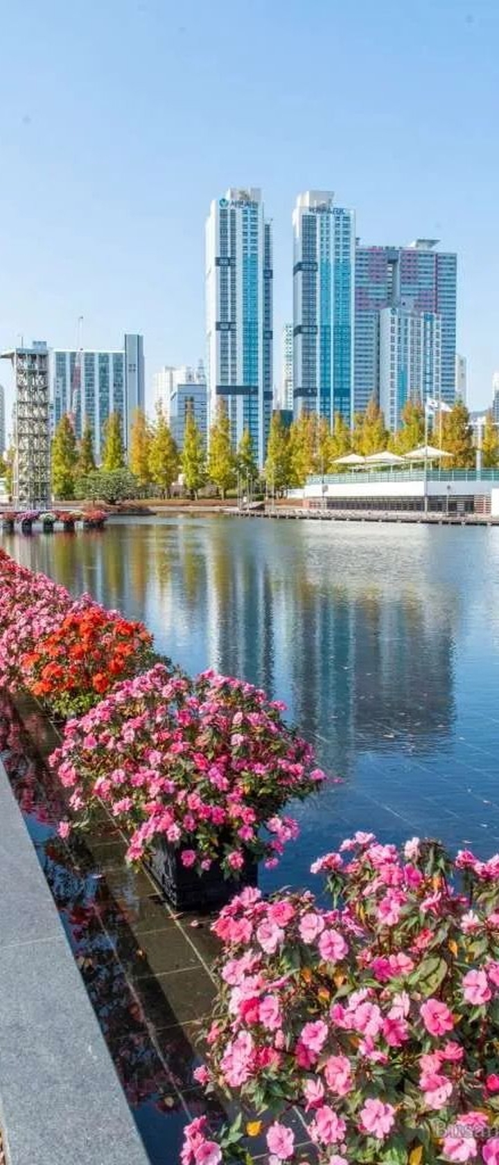 A tribute to Busan, Korea.