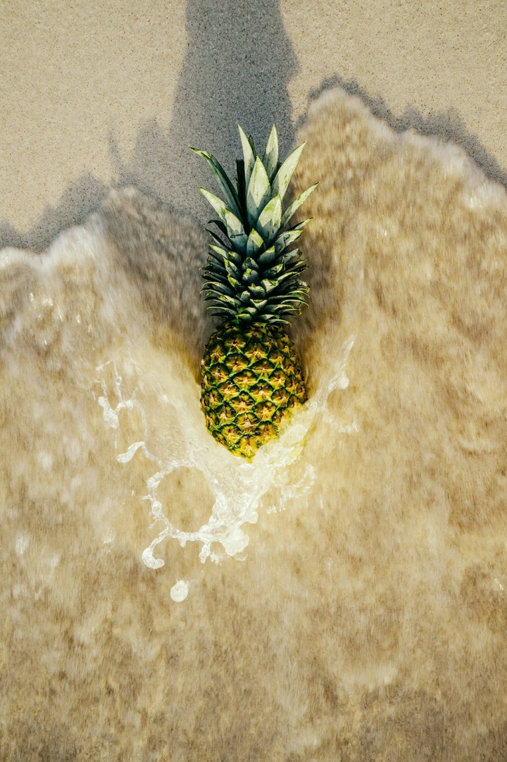 who live in a pineapple under the sea?