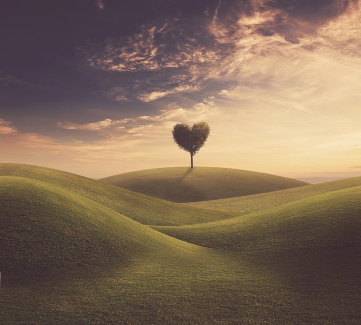L®ve