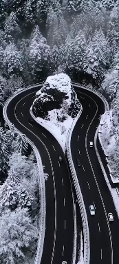 Beautiful snow scene