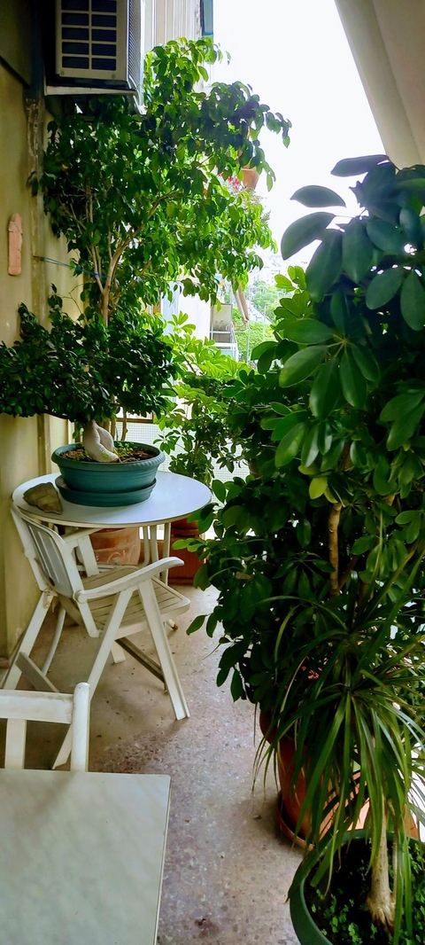Original green balcony collection