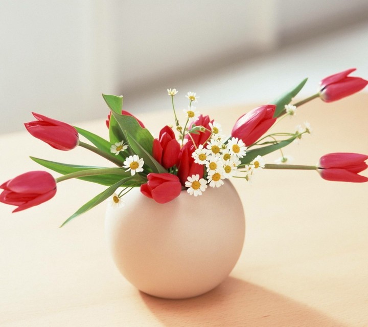 vase case