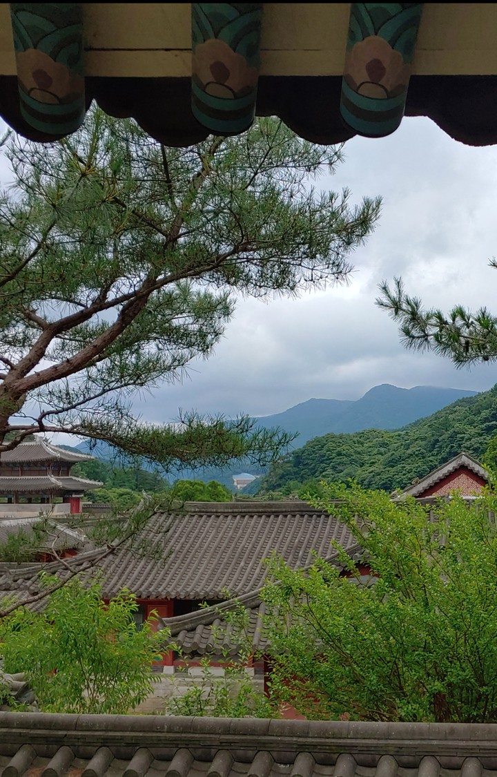 풍경