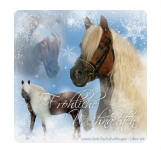 Ich wünsche euch allen Frohe Weihnachten♡♡