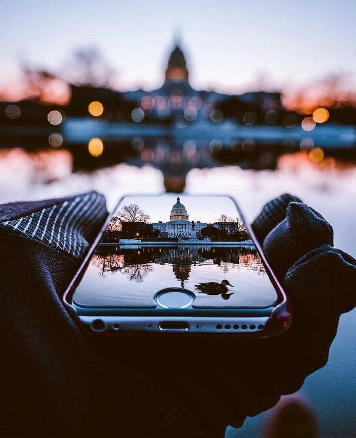 красота