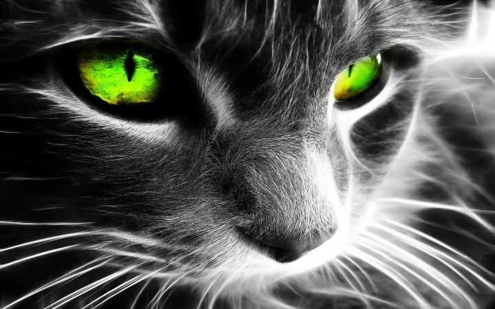 КОТЭ