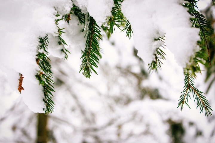 snow