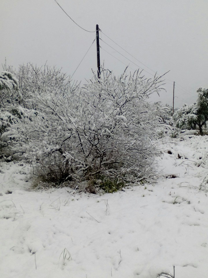 snow