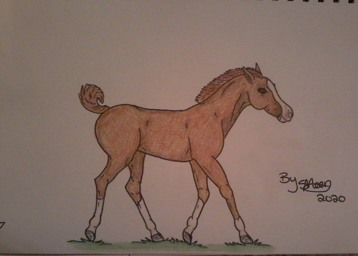 Drawing 2