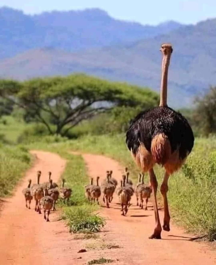 fantastic family ❤❤❤