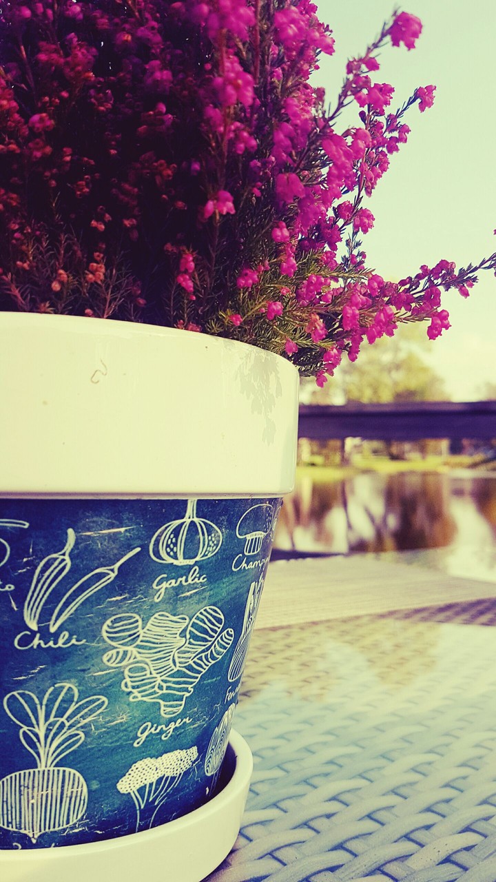 Flower pot