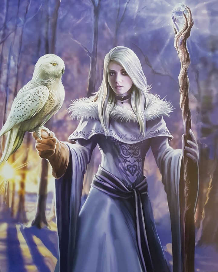 Anne Stokes