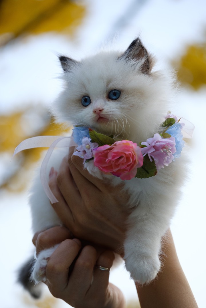 cute