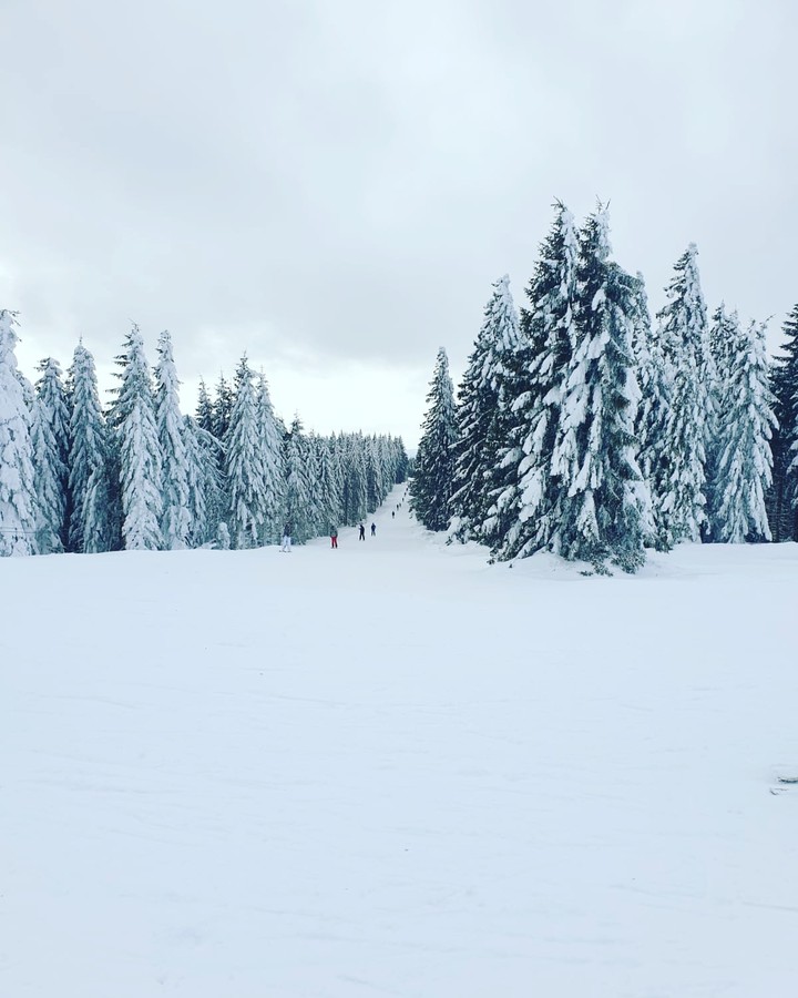 Winter Todtnauberg