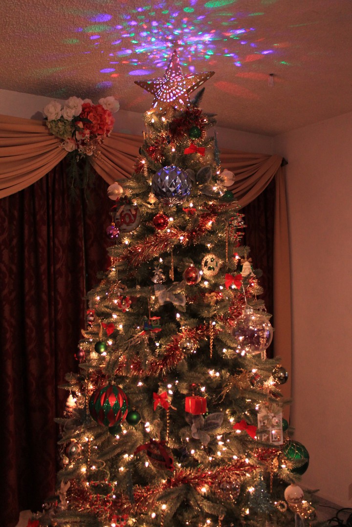 our Christmas tree