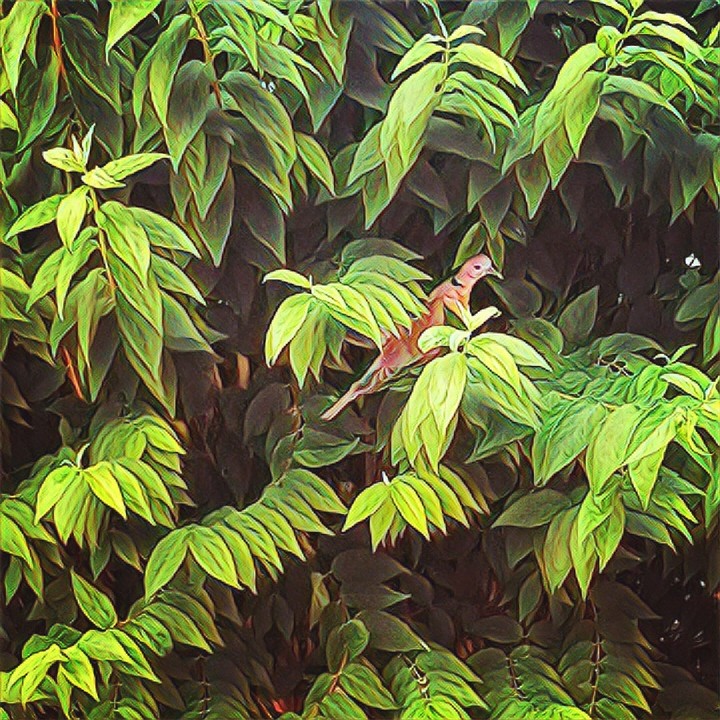 #nature