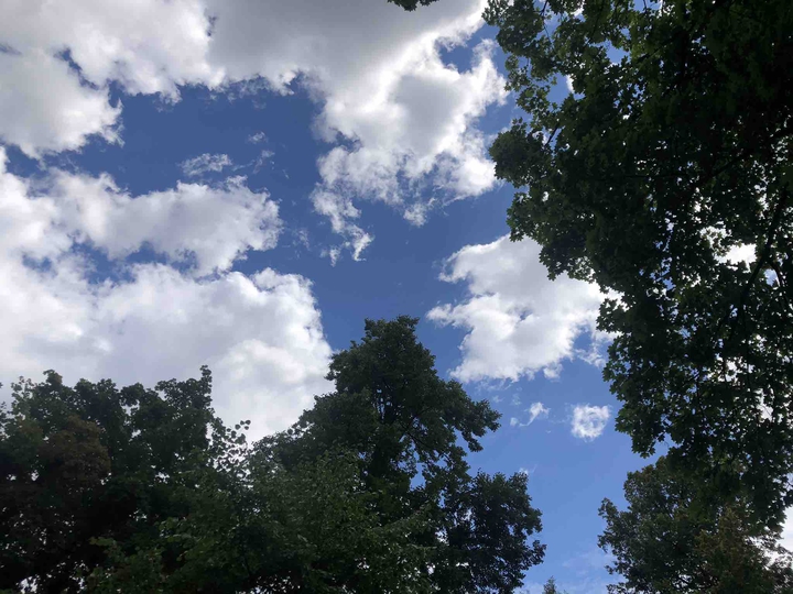 Sunny day