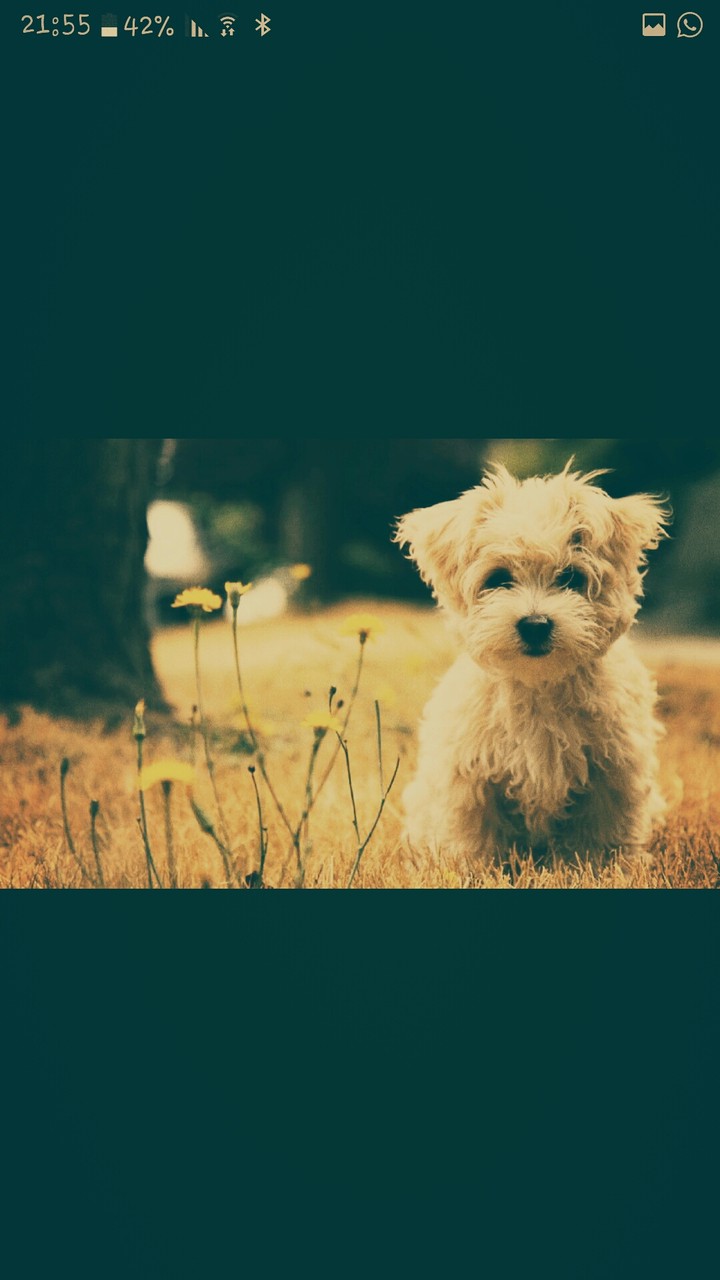 small 