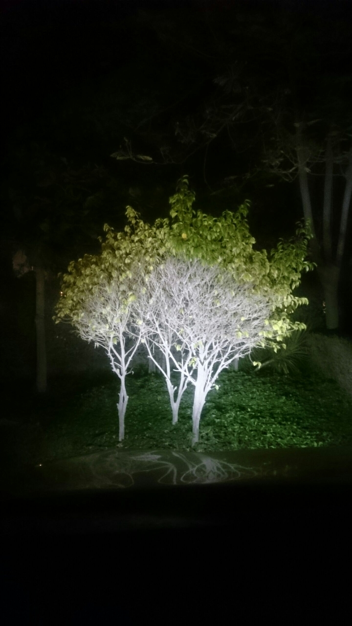 night and light