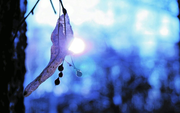 winter