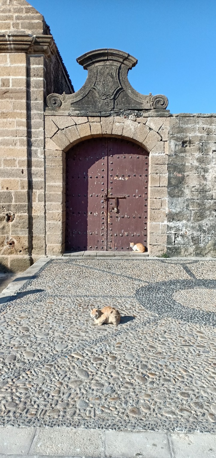 essaouira