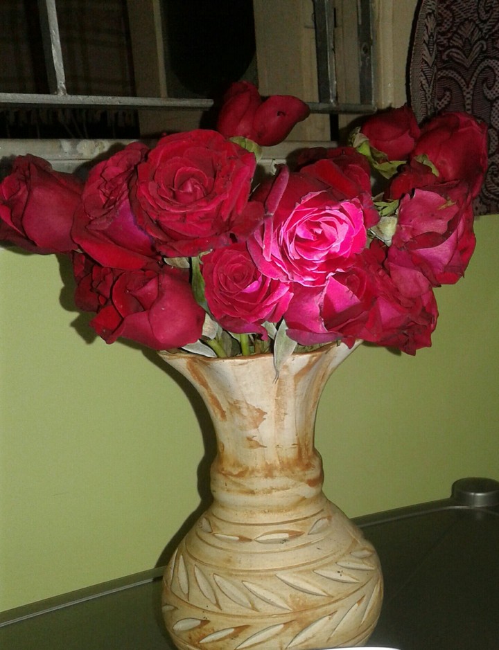 red roses