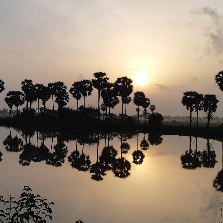 sunrise