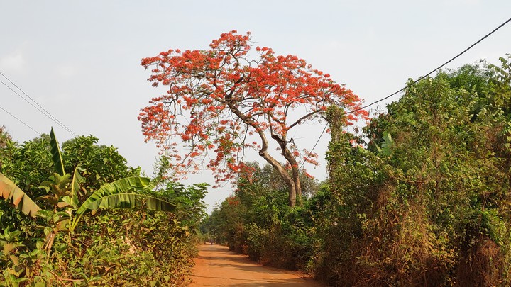 KRISHNACHURA