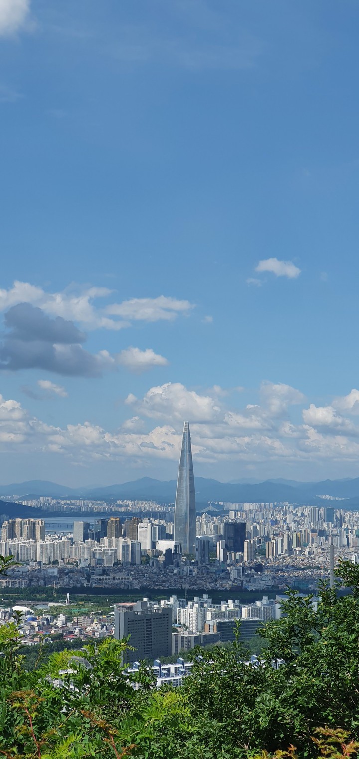 롯데타워