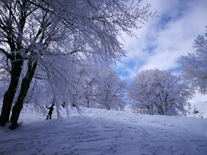 snow