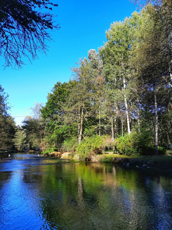 Green & Blue