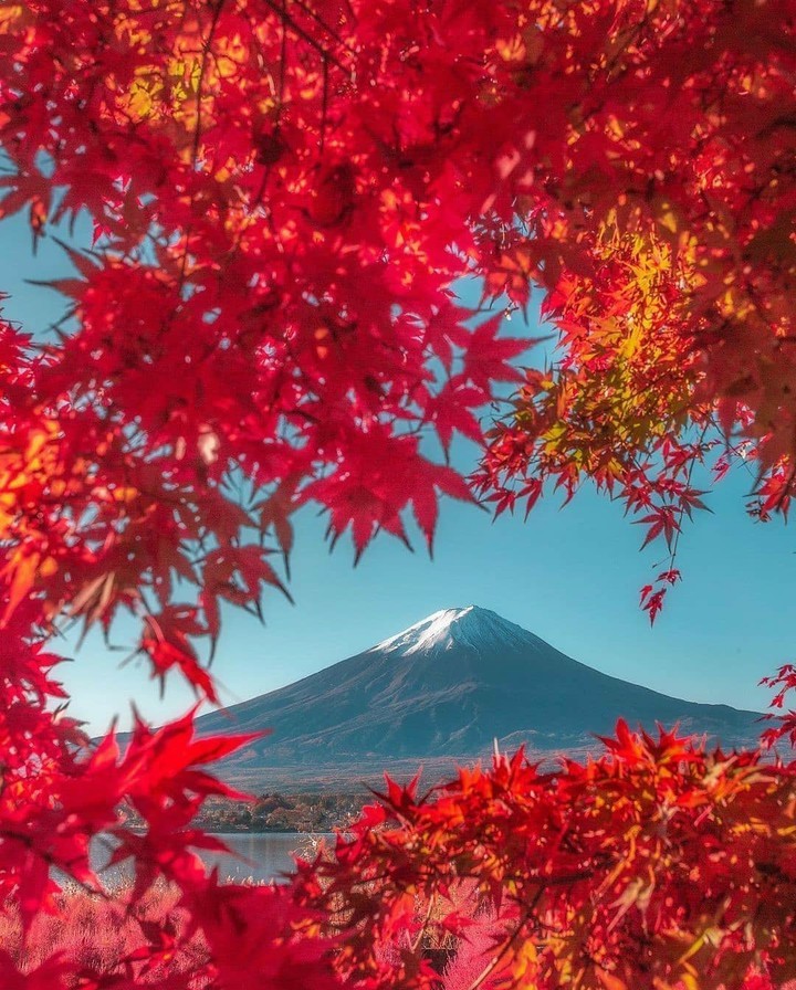 Japan
