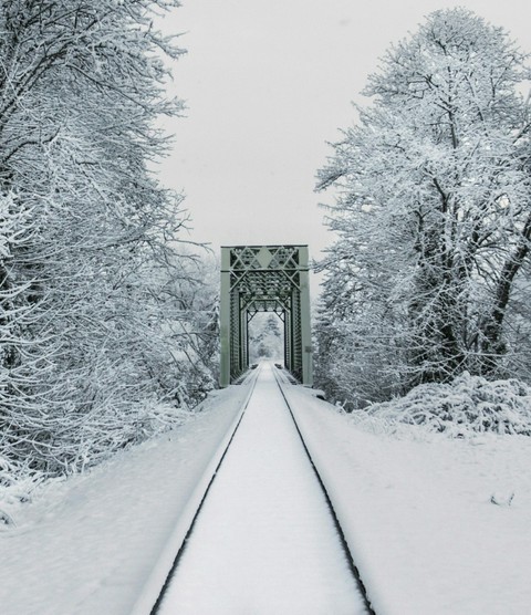 monochrome, snow wallpapers