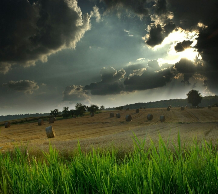 Nature
