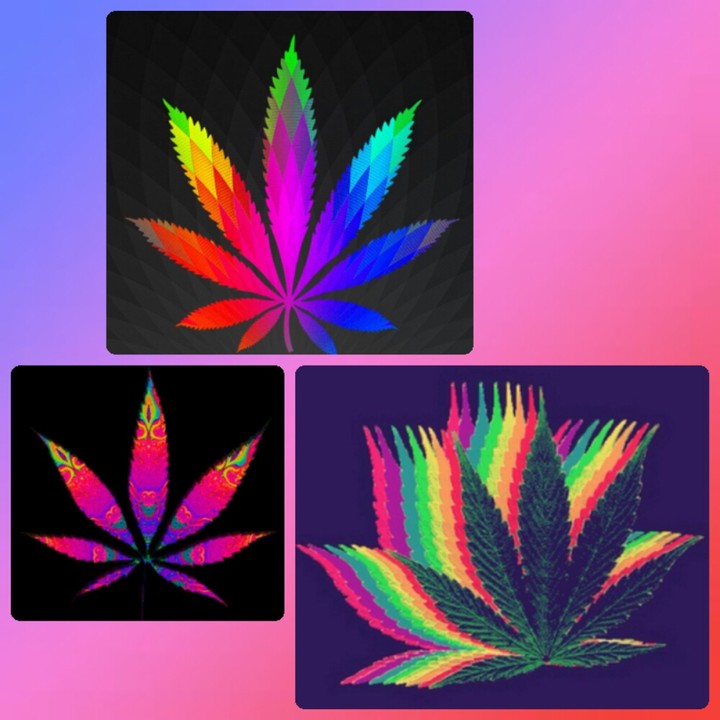 #weed #hippie #colours #smoke #rainbow #happy #chill #love