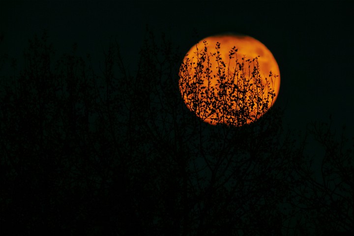 full moon