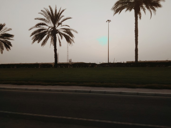 Beach Road Jumeirah