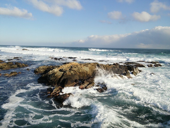 Wave