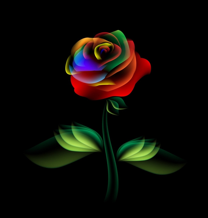 rose