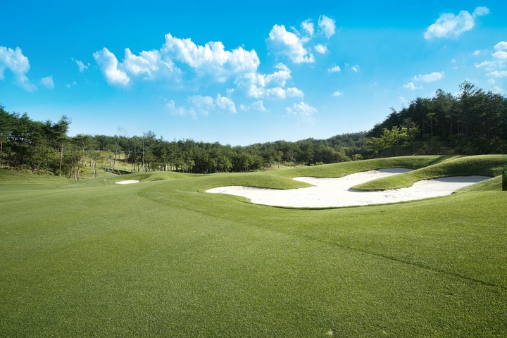Golf Course