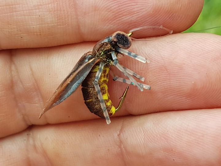 Mosca