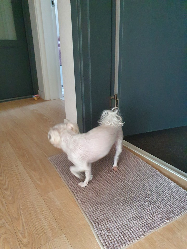 야 어디가