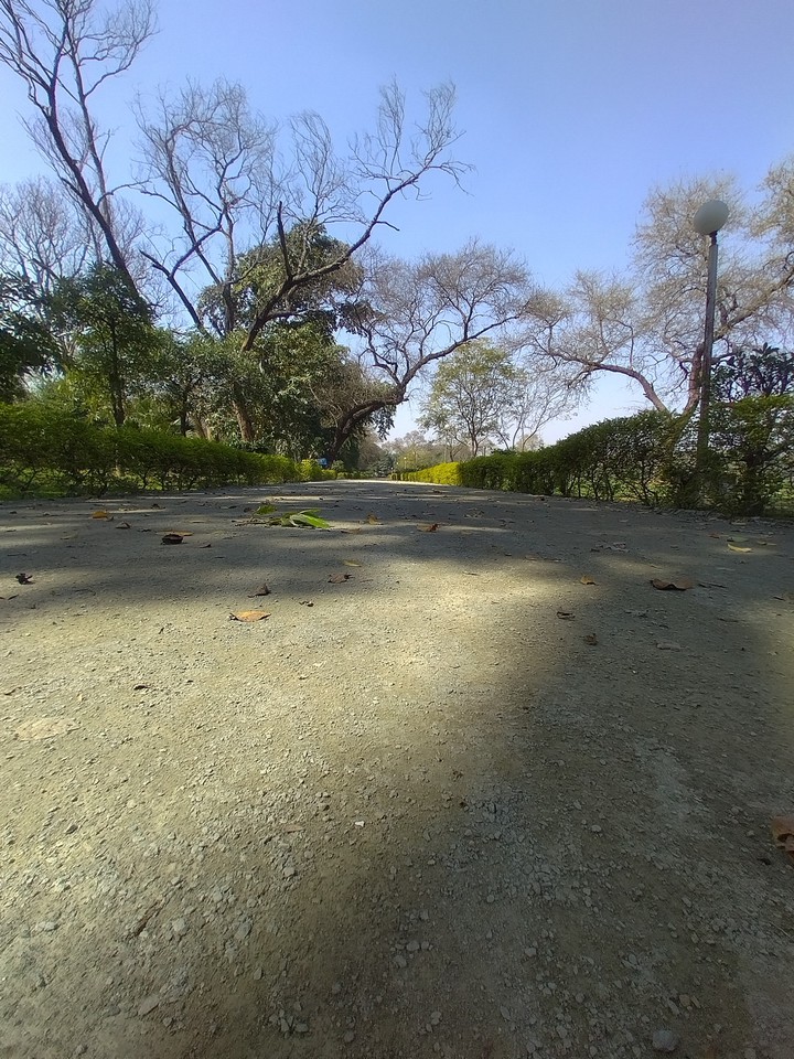 Park Lane
