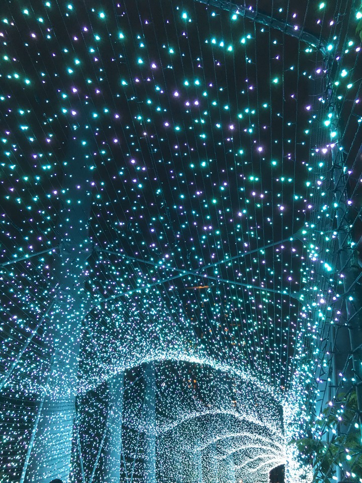 Taipei Blue light