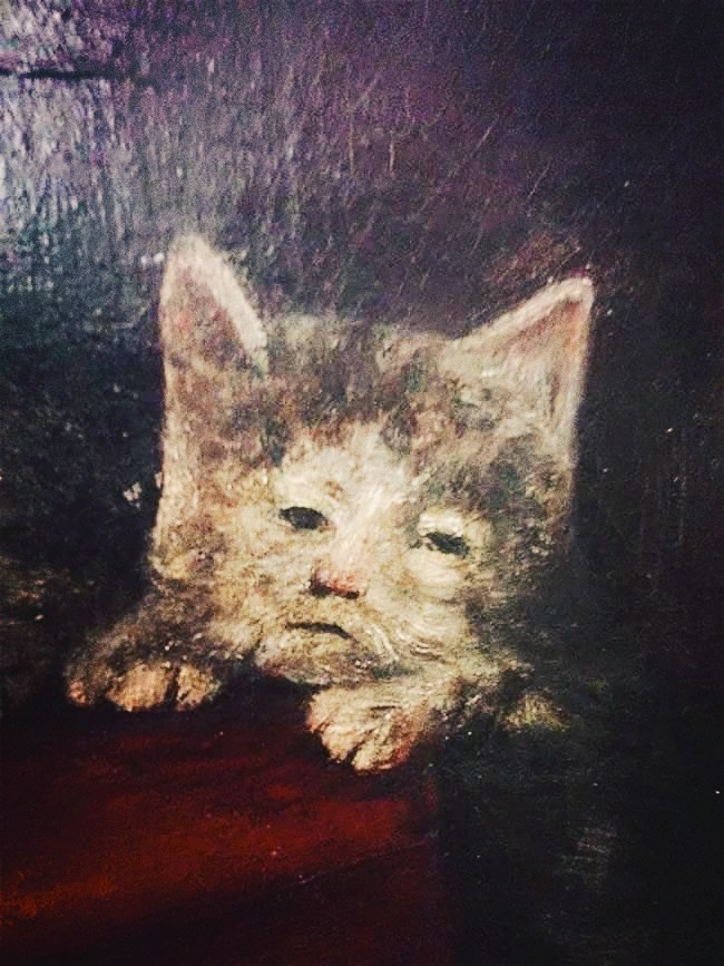 Medieval cat