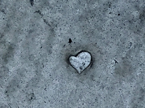 heart