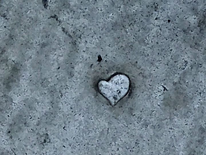 heart